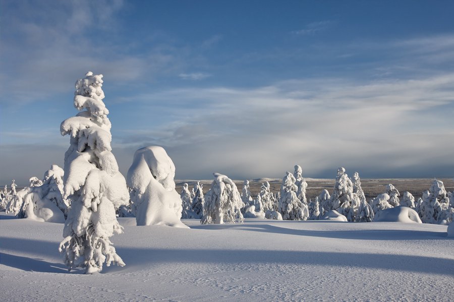 Lapland destinations across the Arctic