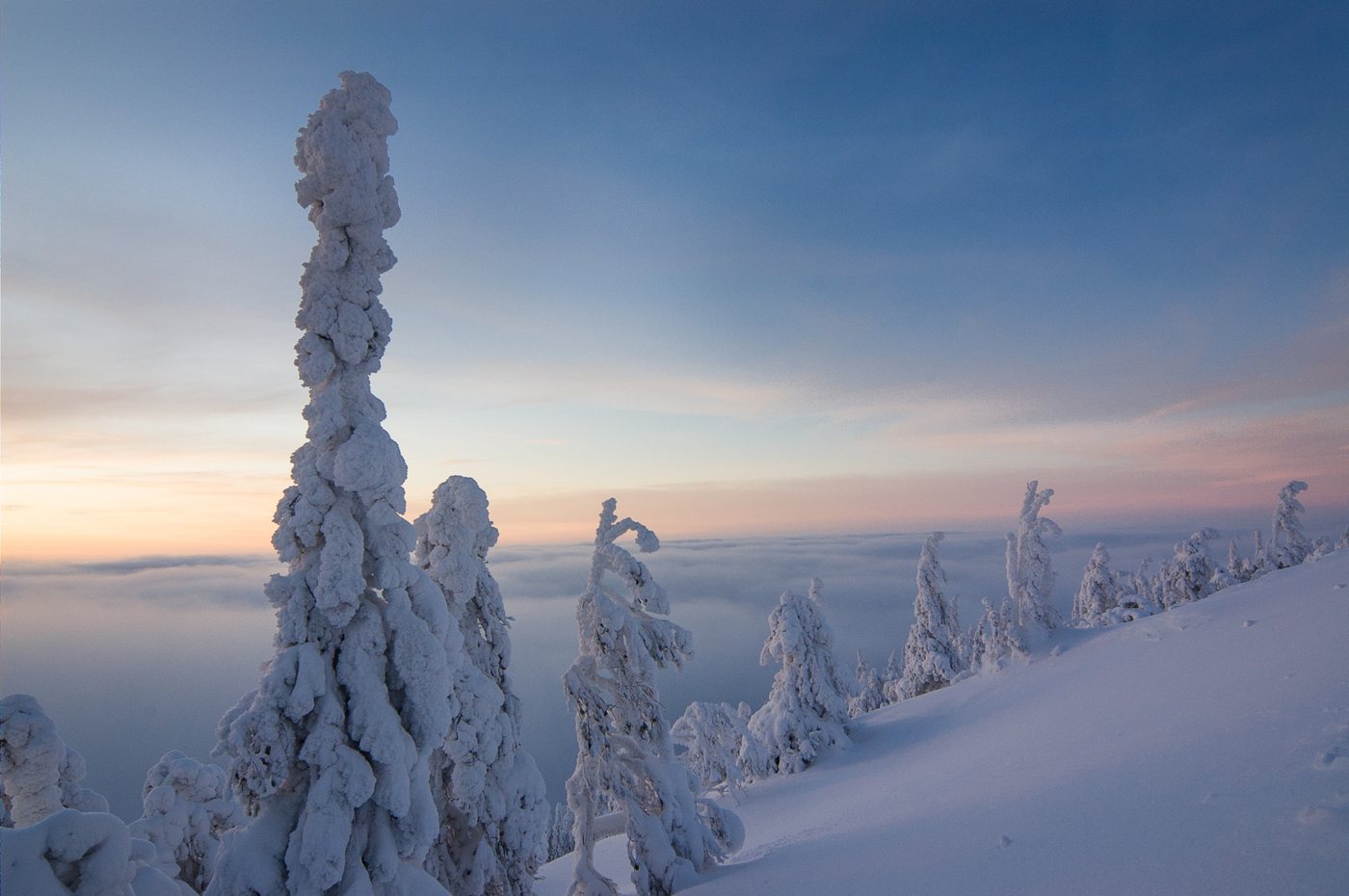 Finnish Lapland landscape
